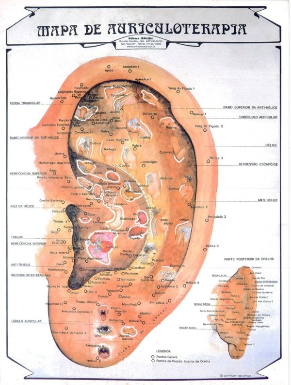 Mapa Auricular